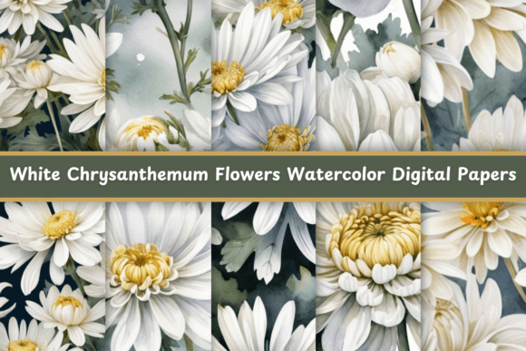 Elegant White Chrysanthemum Flowers Watercolor Patterns