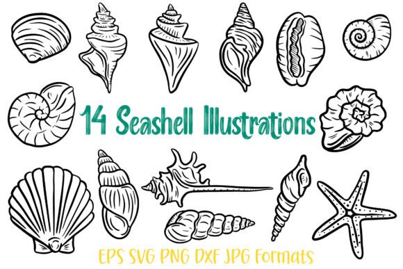 Elevate Your Brand with 14 Seashell Shell Illustration SVG Logo
